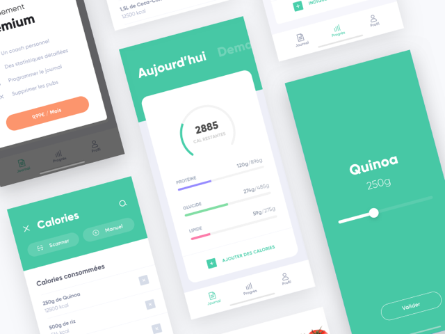 Designer Application Mobile Freelance UX UI Paris Design